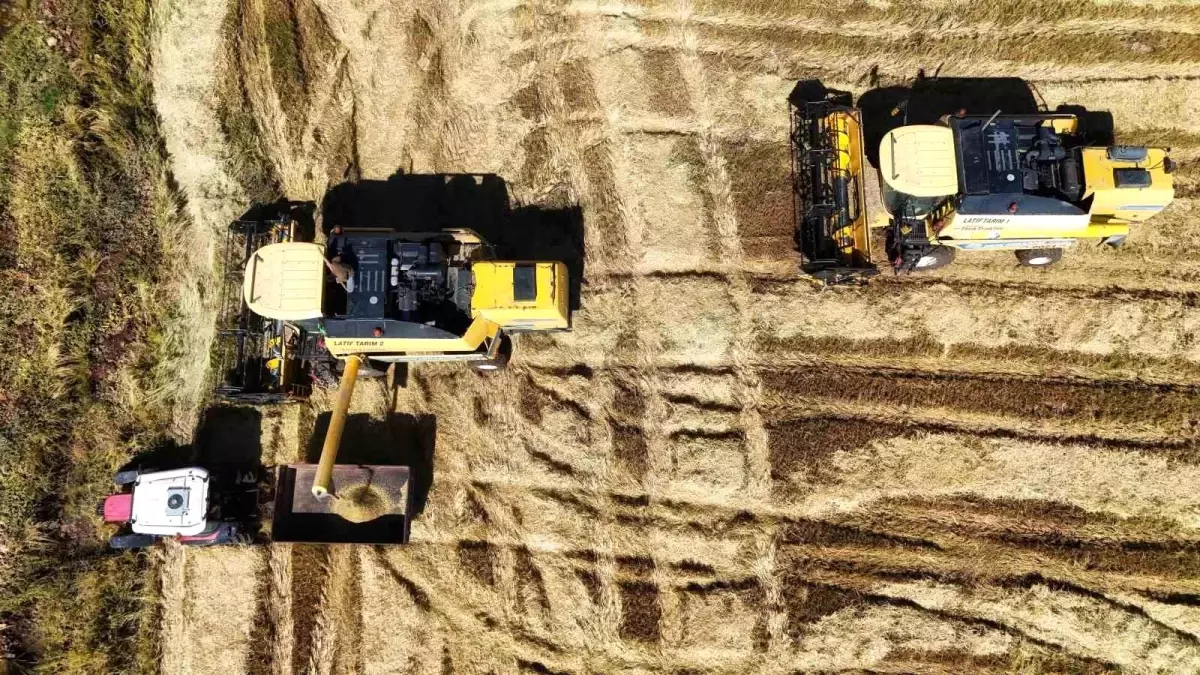 diyarbakirda karacadag pirinci hasadi basladi 2UJ9PM1a