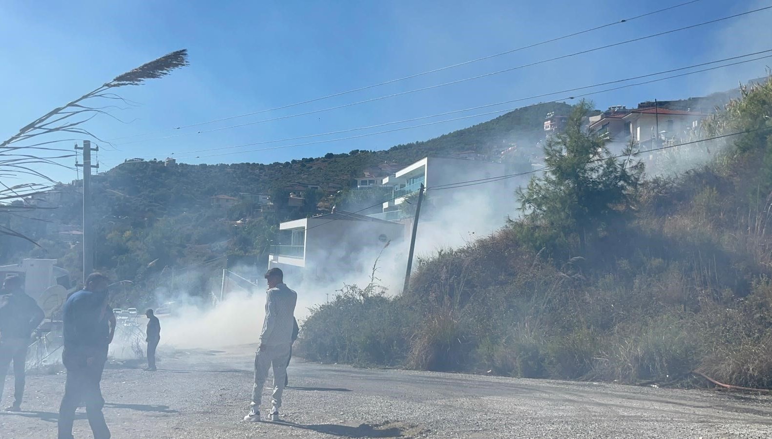 alanyada ormanlik alanda yangin ji1OeOOu.jpg