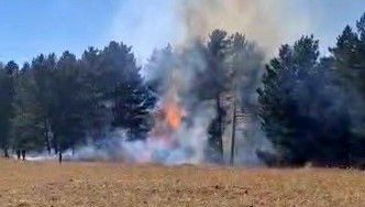 sarikamista orman yangini yNDGm4ZP.jpg