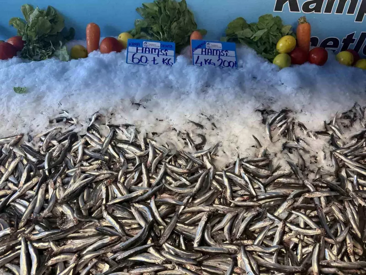 hamsinin fiyati dusmeye devam ediyor eHtMJkAJ.jpg