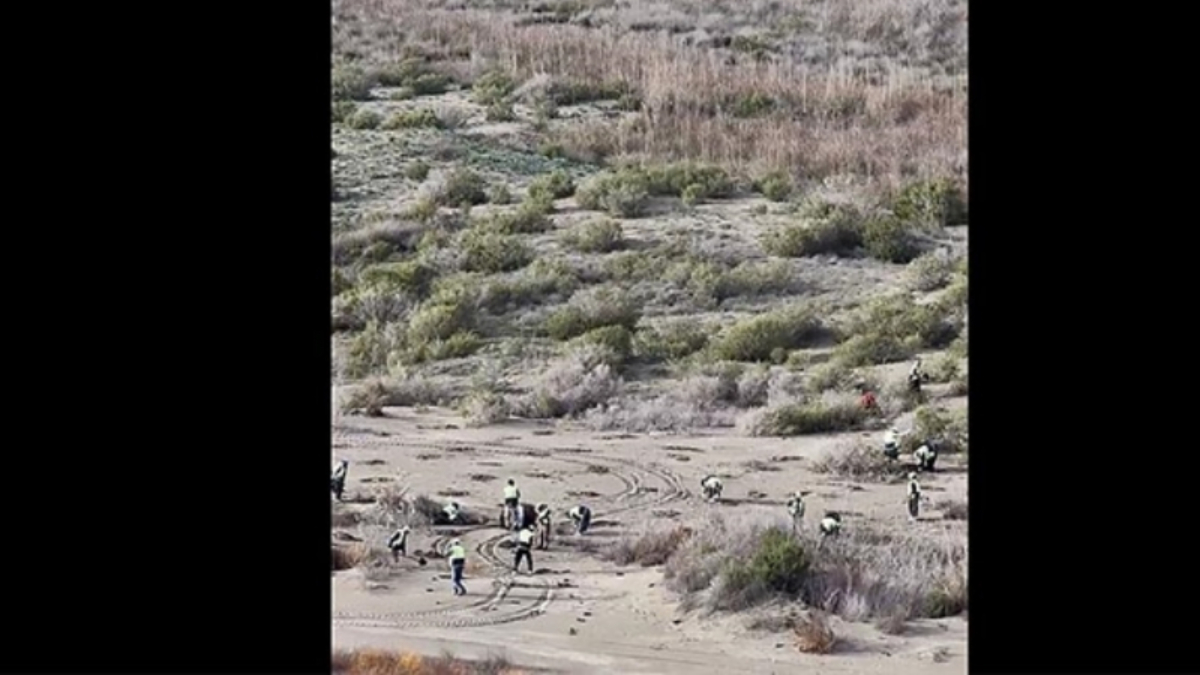 Ağyatan Lagünü’ne 100 bin yeni ağaç: Ekosistem koruma çalışmaları