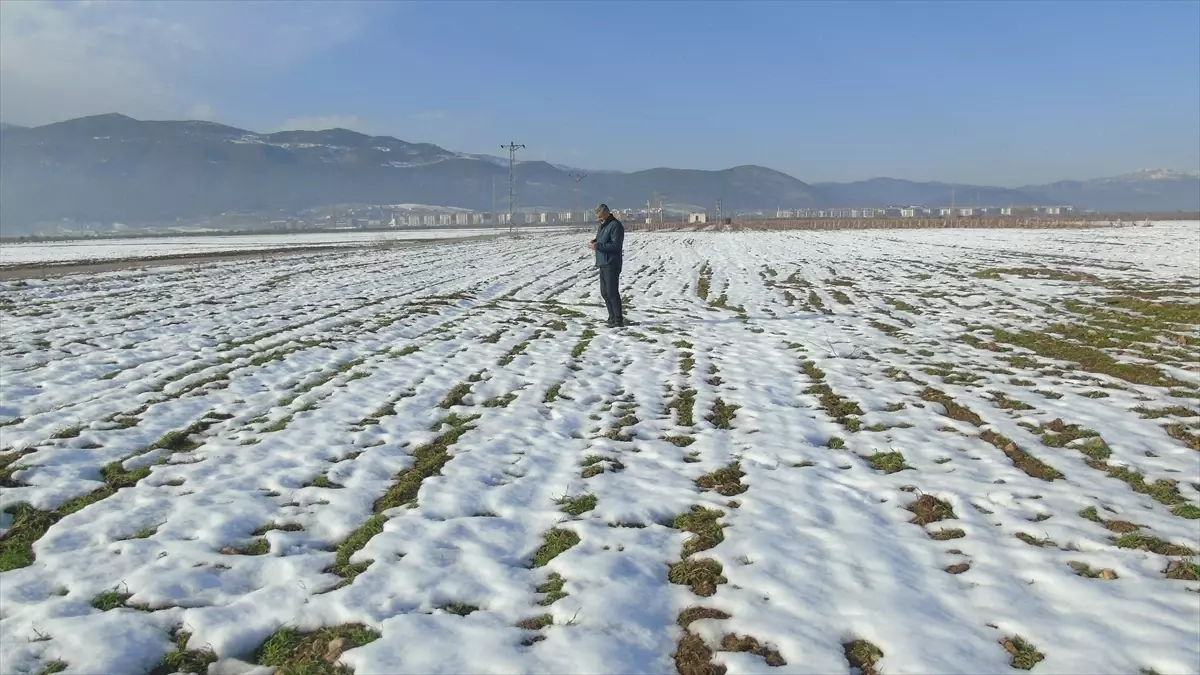 İslahiye’de Kar Yağışı Çiftçileri Sevindirdi